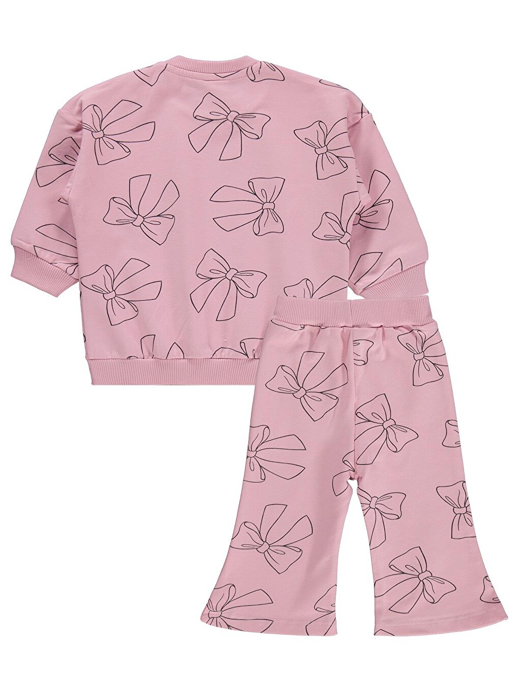 Baby Fiyonk Empirme 6-18 Ay Takım - Pembe-2