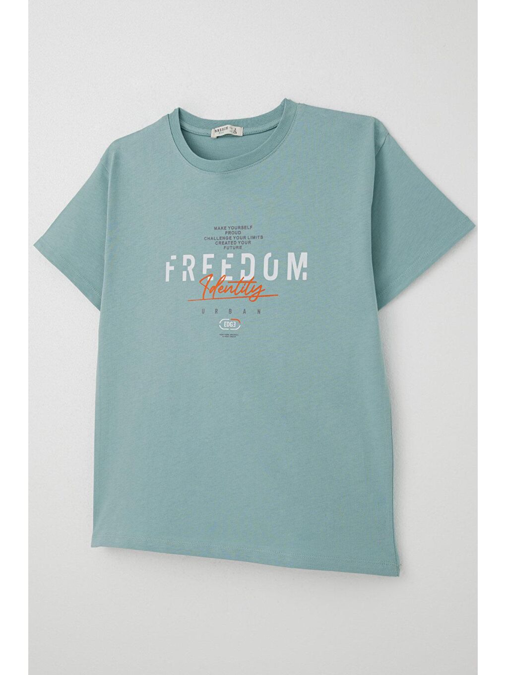 Turkuaz Erkek Çocuk Tişört Yazı Baskılı Su Yeşili (5-10 Yaş)-2