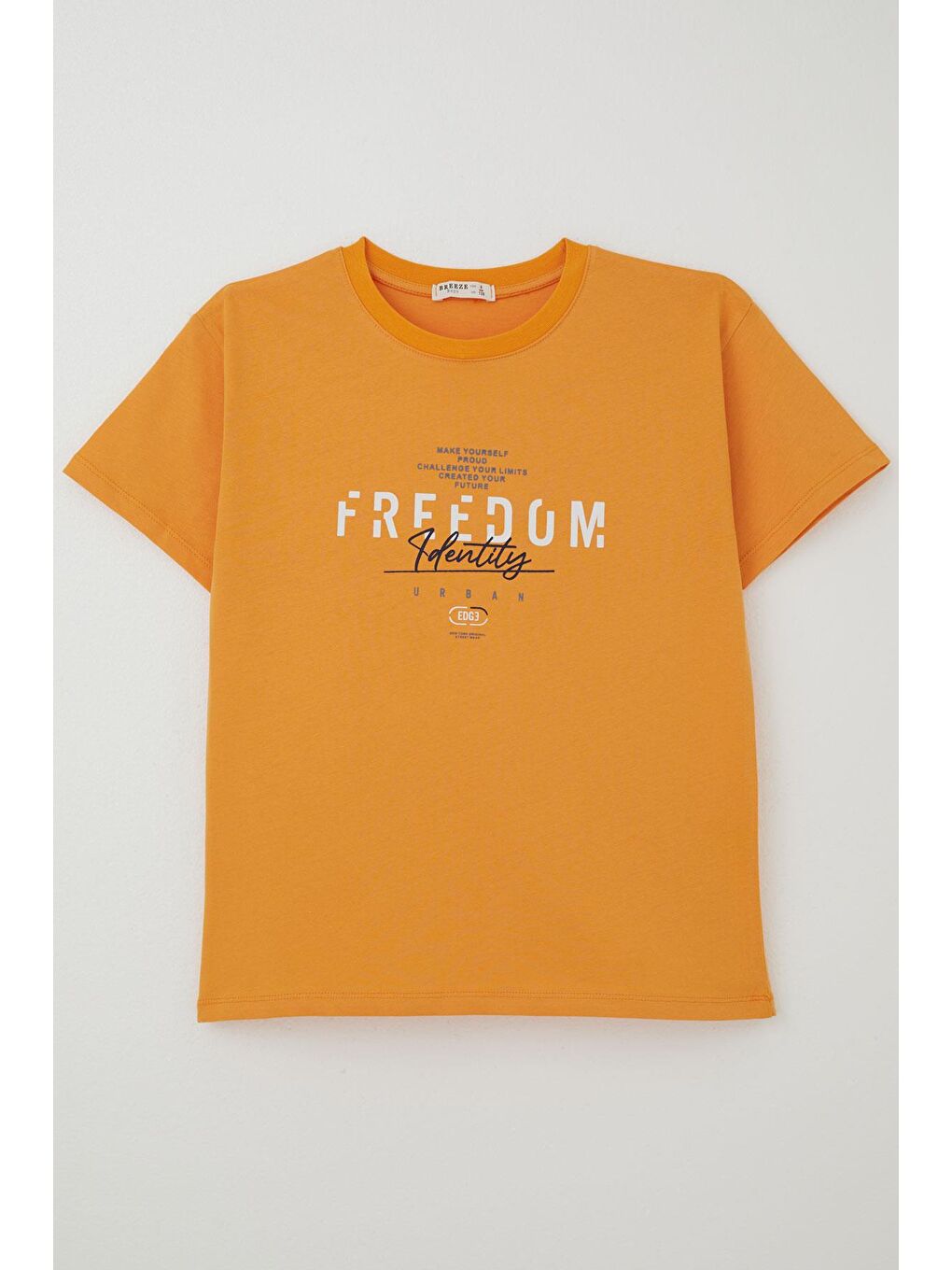 Erkek Çocuk Tişört Yazı Baskılı Hardal Sarı (5-10 Yaş)