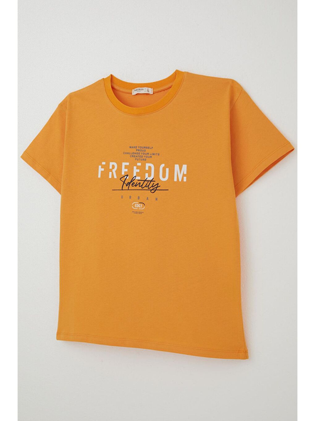 Erkek Çocuk Tişört Yazı Baskılı Hardal Sarı (5-10 Yaş)-2