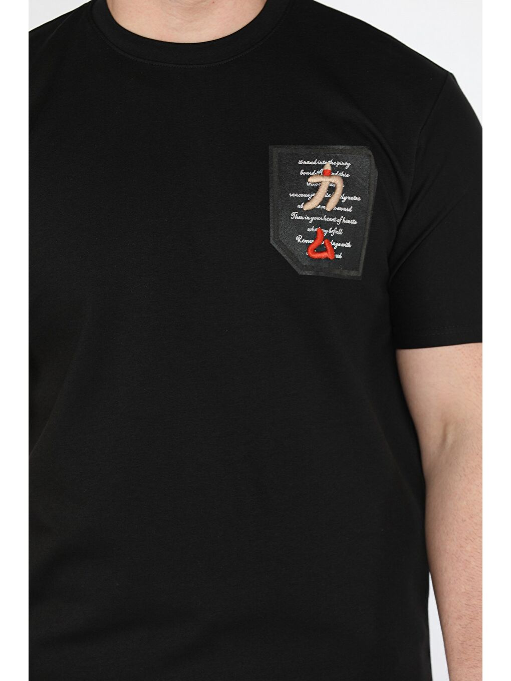Siyah Bisiklet Yaka Yazı Baskılı Erkek Tişört-3