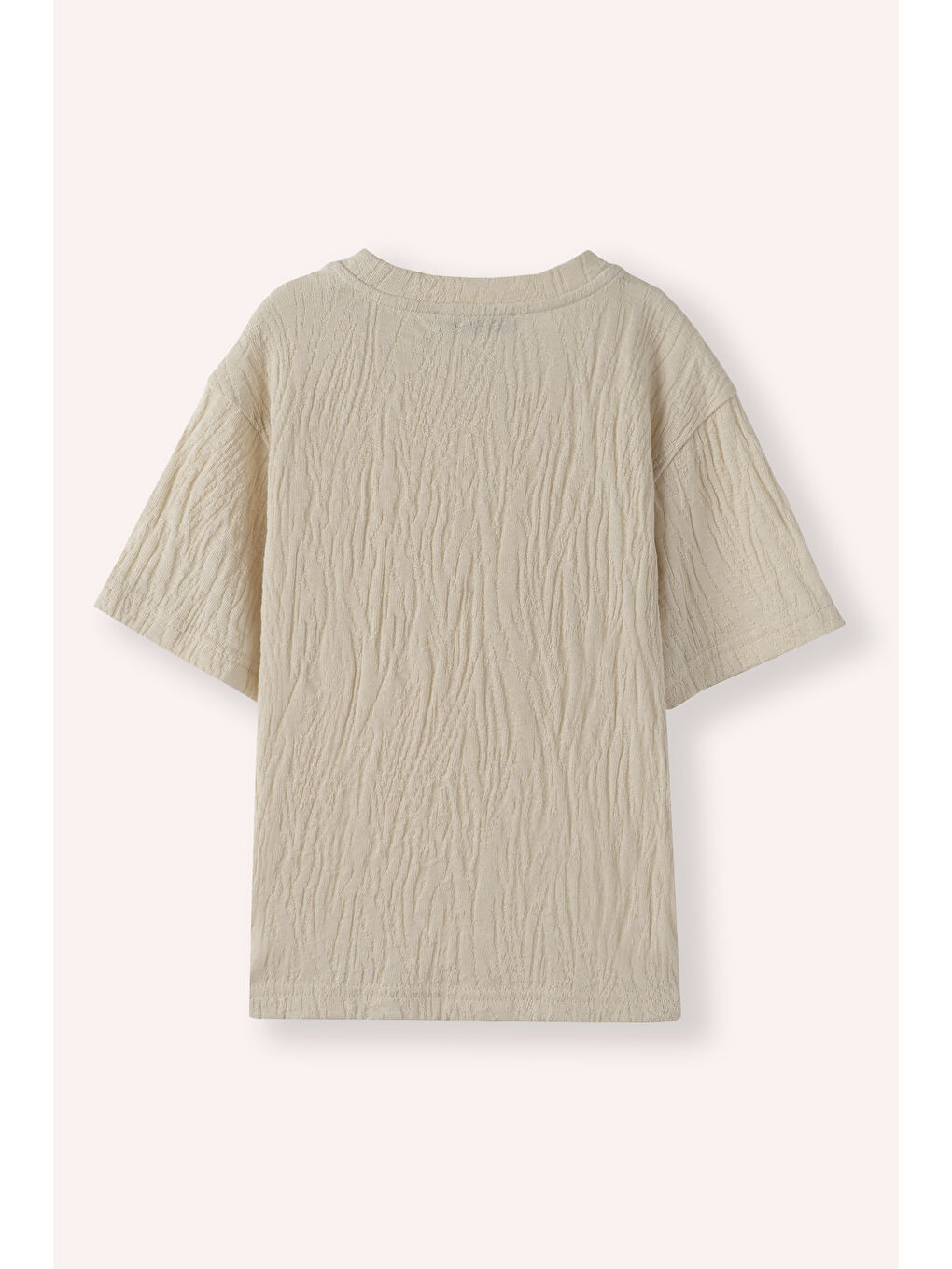 Erkek Çocuk Kısa Kollu T-Shirt Bej-2