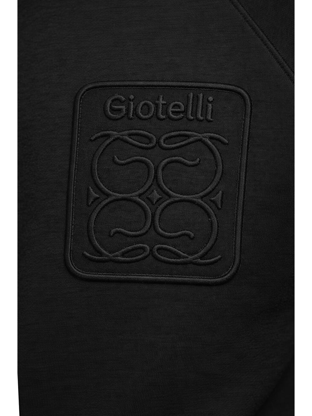 Giotelli Erkek Siyah Normal Kesim Regular Fit %100 Pamuk Örme Bisiklet Yaka Sweatshirt-3