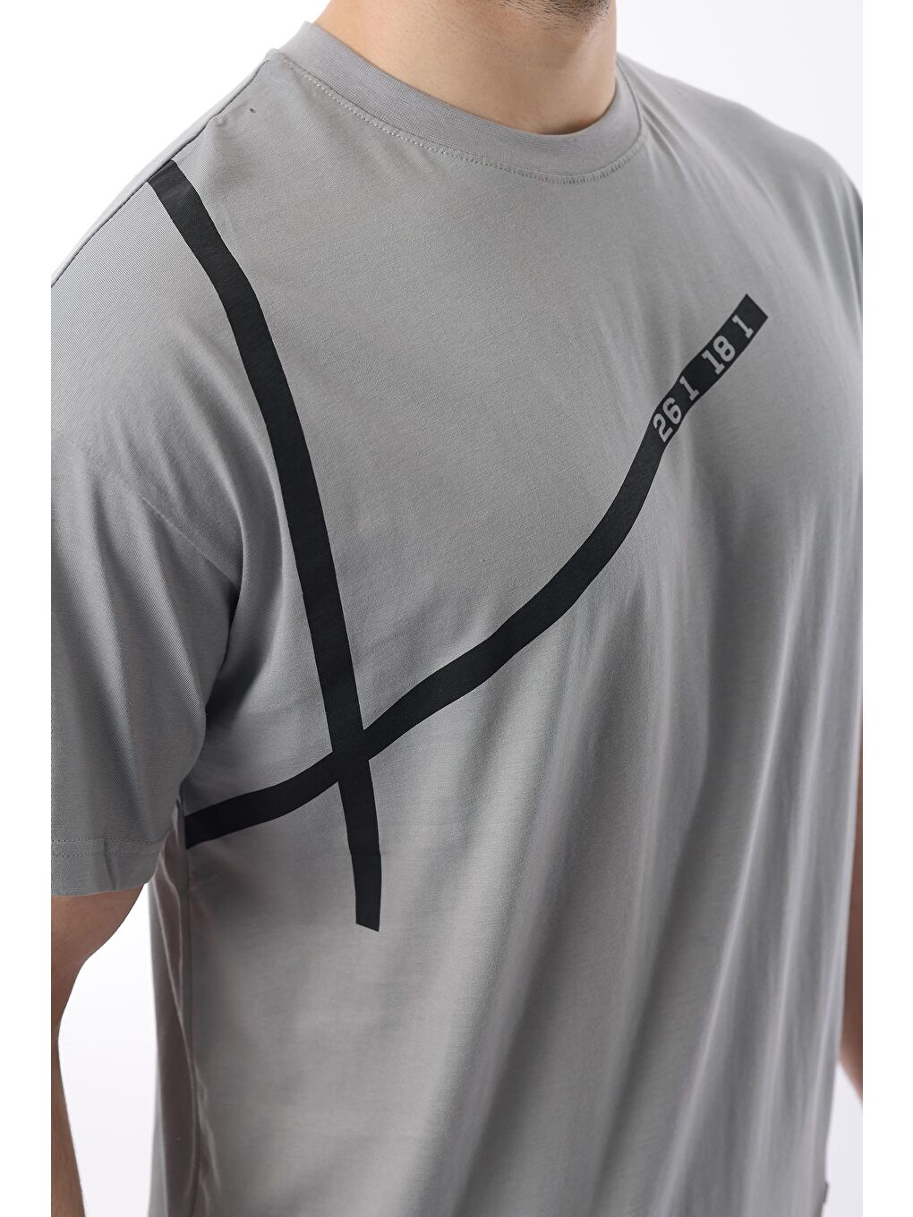 Boyalı Gri Bisiklet Yaka Şerit Detaylı Pamuklu Erkek %100 Pamuk Tişört E7033-4