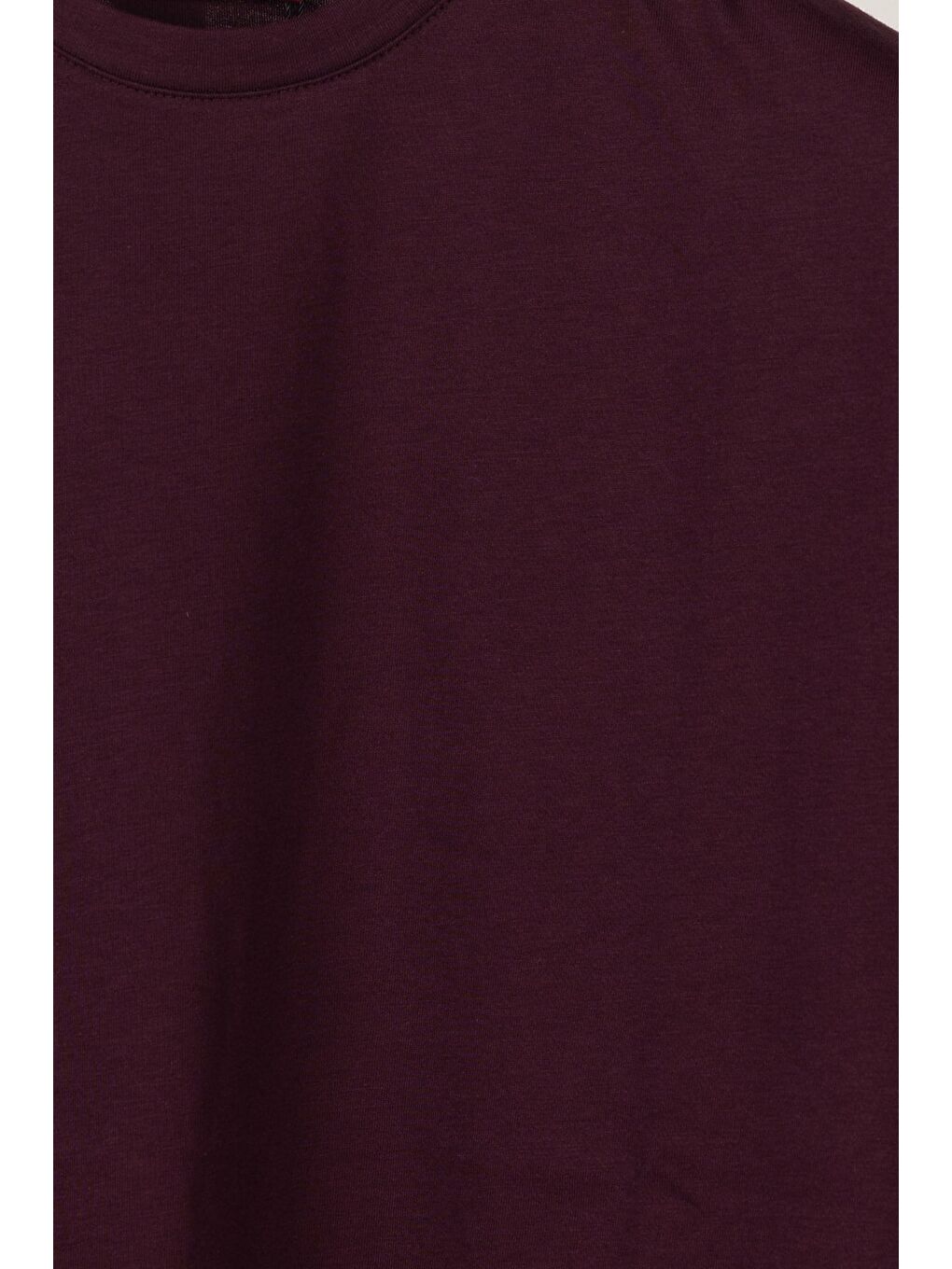 Erkek Bordo Normal Kesim Regular Fit %100 Pamuk Kısa Kollu Bisiklet Yaka Basic Tişört-2