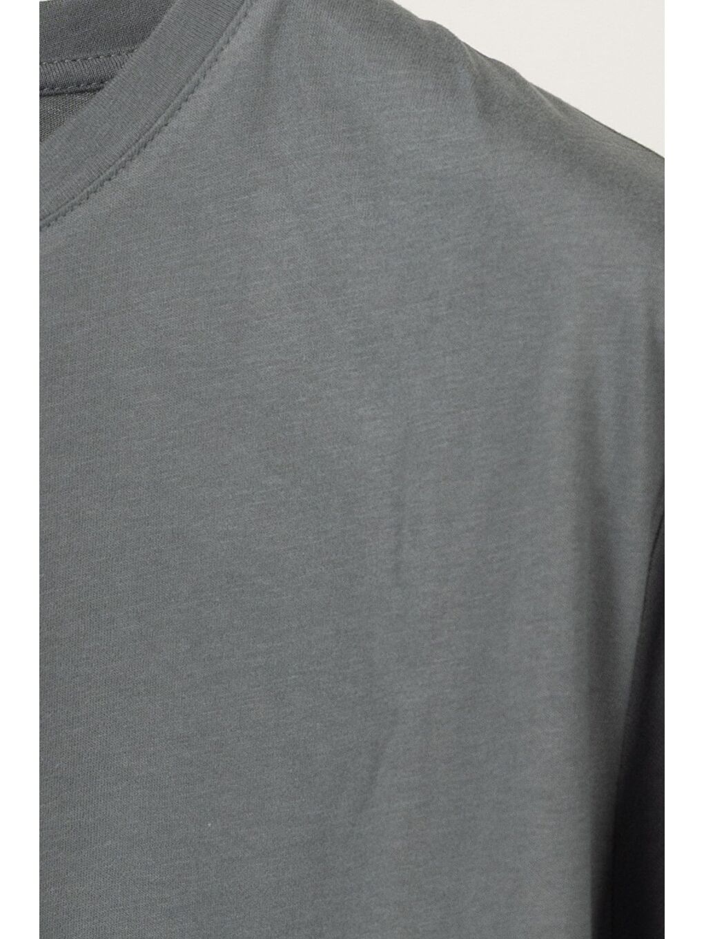 Gri Erkek Füme Normal Kesim %100 Pamuk Kısa Kollu Bisiklet Yaka Basic Tişört-3