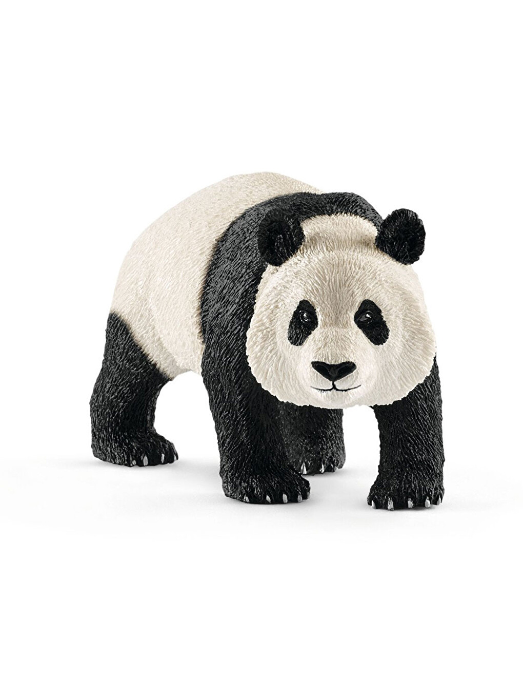 Erkek Panda 14772