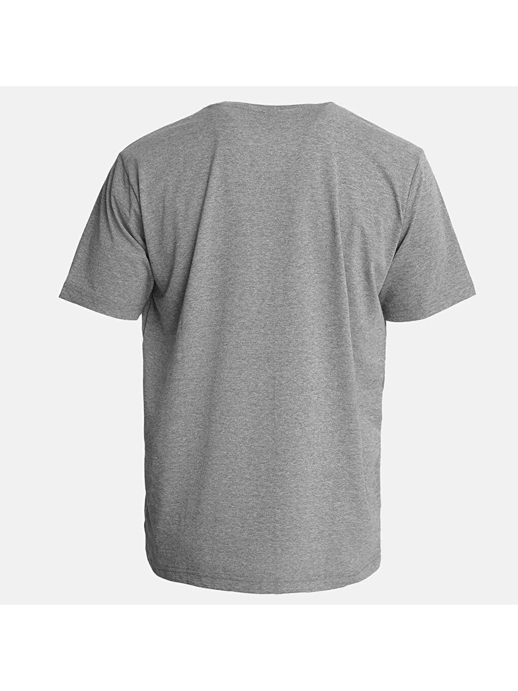 Jullian Erkek Gri Tişört-2