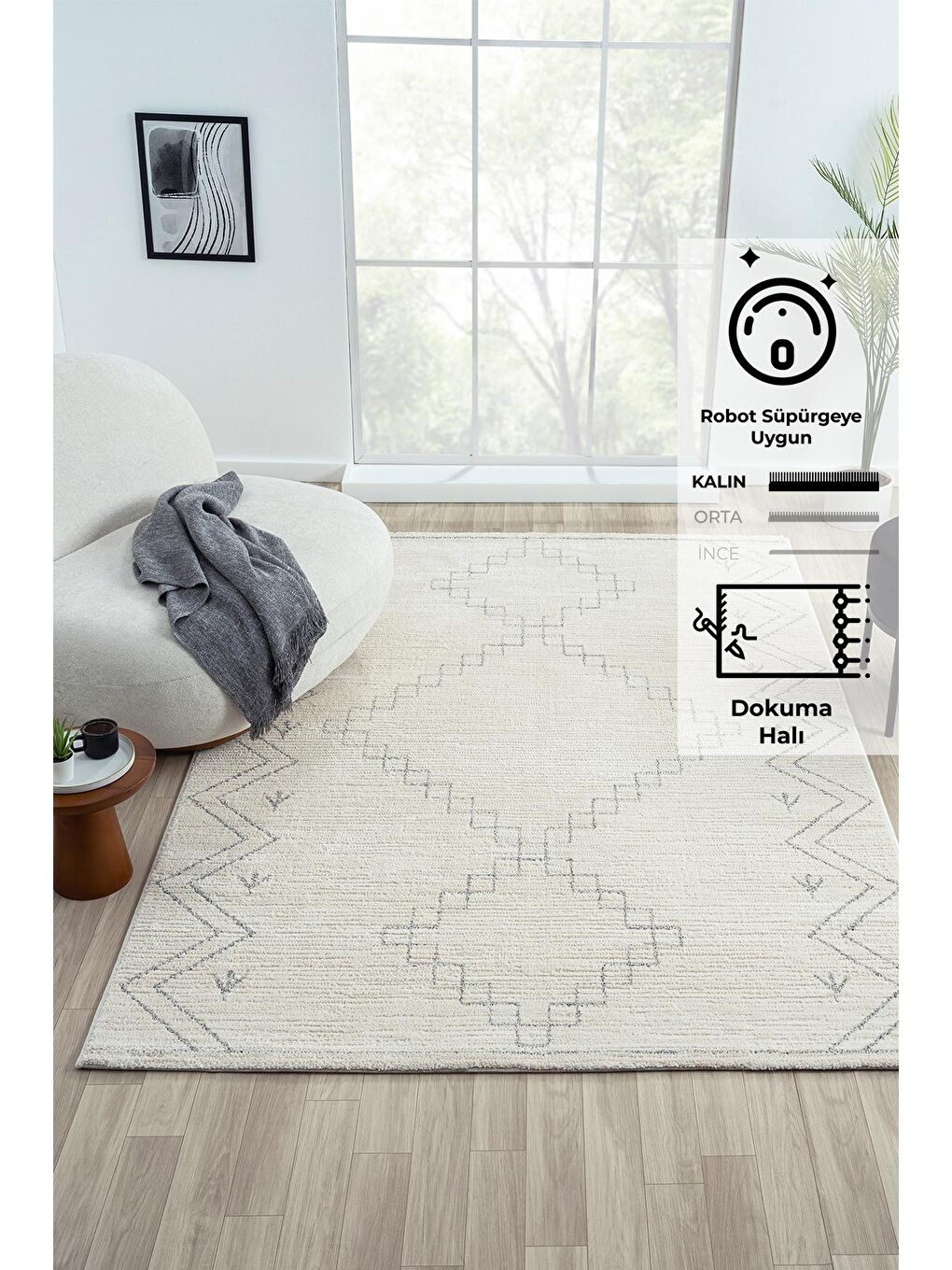 Ekru Claude 1636 Modern Dokuma Halı Yumuşak İplikli-100x200