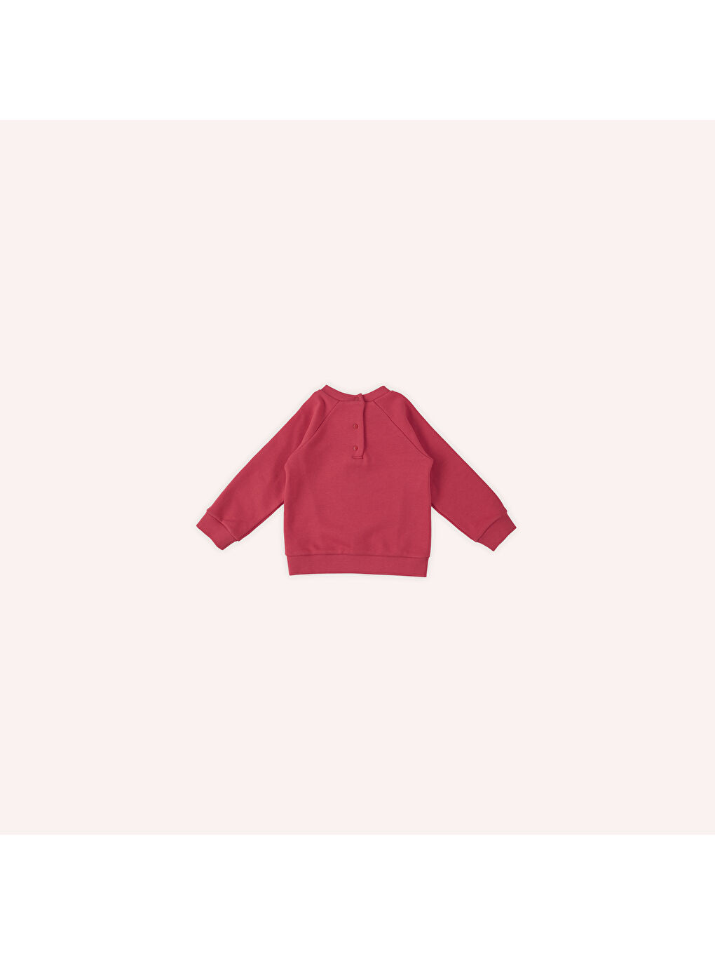 Panço Kirmizi Kız Çocuk Nakış Detaylı Sweatshirt - 5