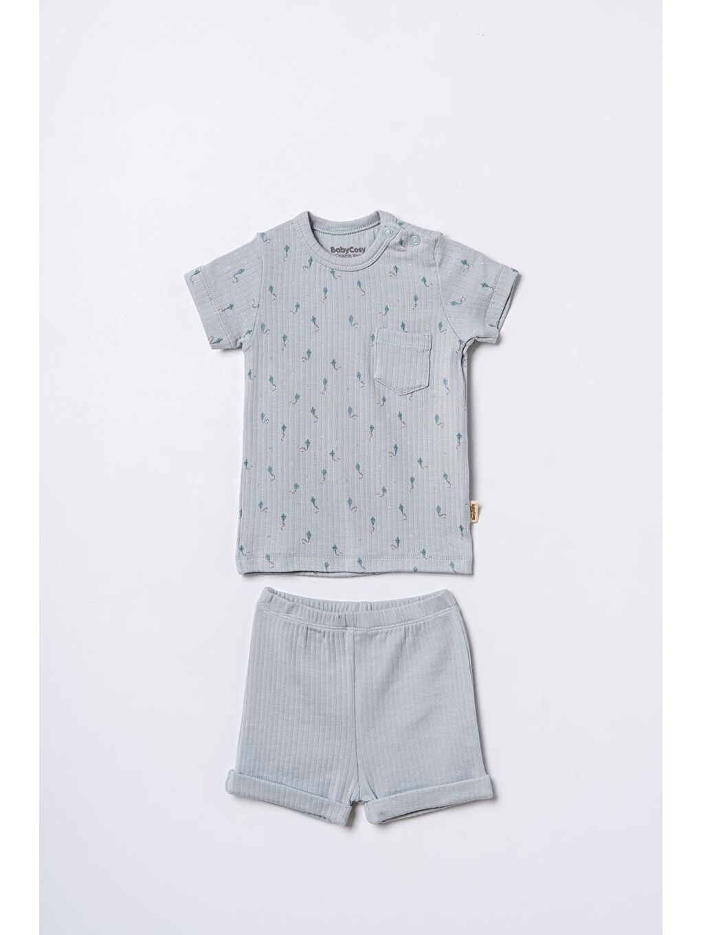 Turkuaz Bebek Kısa Kollu Tişört ve Pantolon Takımı, %100 Pamuk, Bebek ve Yenidoğan Serisi - CSYM31112