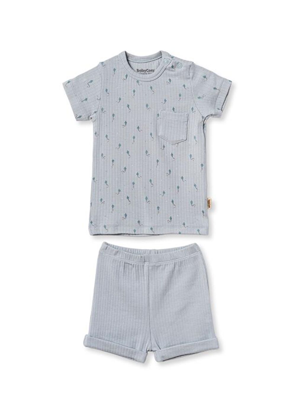 Turkuaz Bebek Kısa Kollu Tişört ve Pantolon Takımı, %100 Pamuk, Bebek ve Yenidoğan Serisi - CSYM31112-1