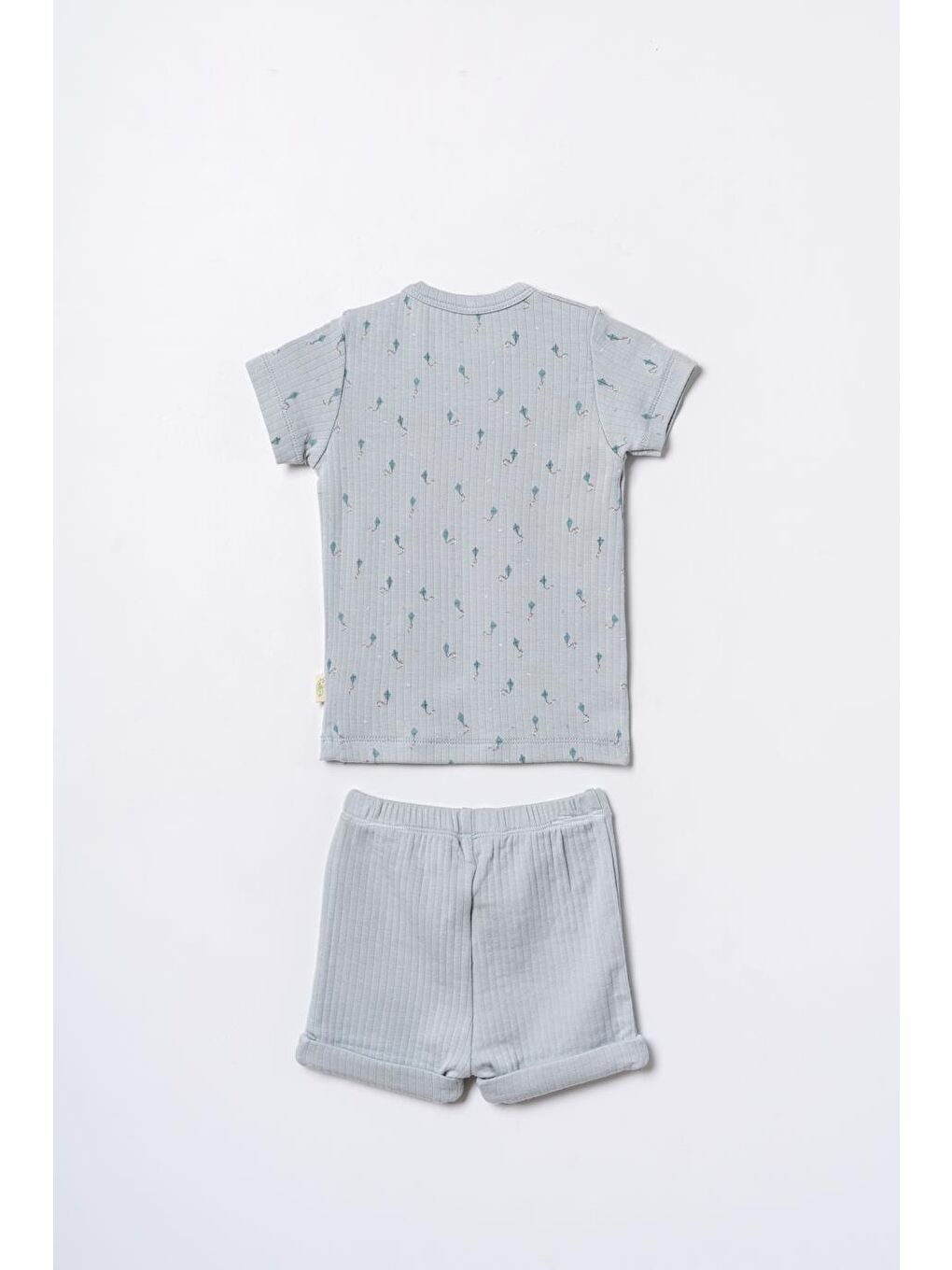 Turkuaz Bebek Kısa Kollu Tişört ve Pantolon Takımı, %100 Pamuk, Bebek ve Yenidoğan Serisi - CSYM31112-2