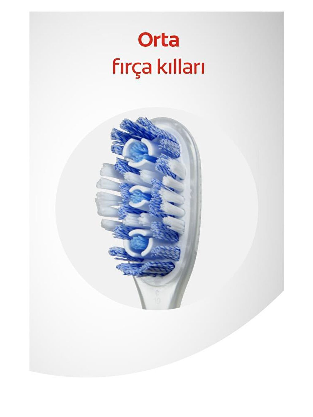 Colgate Mor-Fuşya 360 Optik Beyaz Orta Beyazlatıcı Diş Fırçası 1+1 - 1