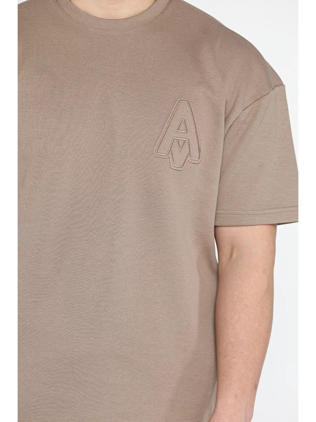 Bej Bisiklet Yaka Nakışlı Erkek Tişört-3