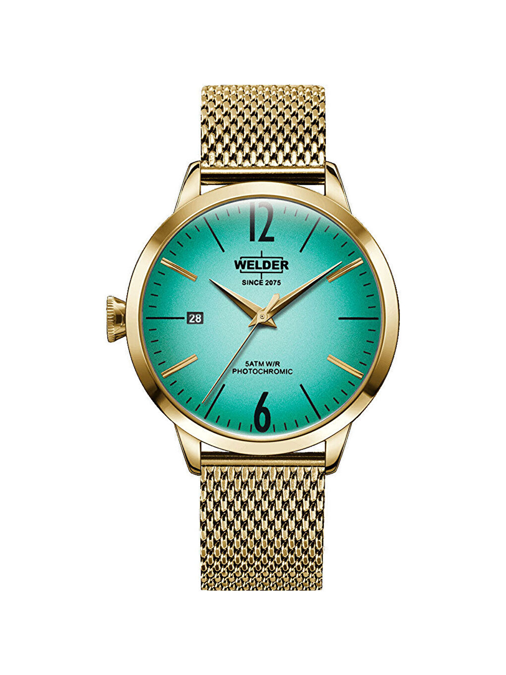 Sarı WRC624 38 mm Kadın Kol Saati