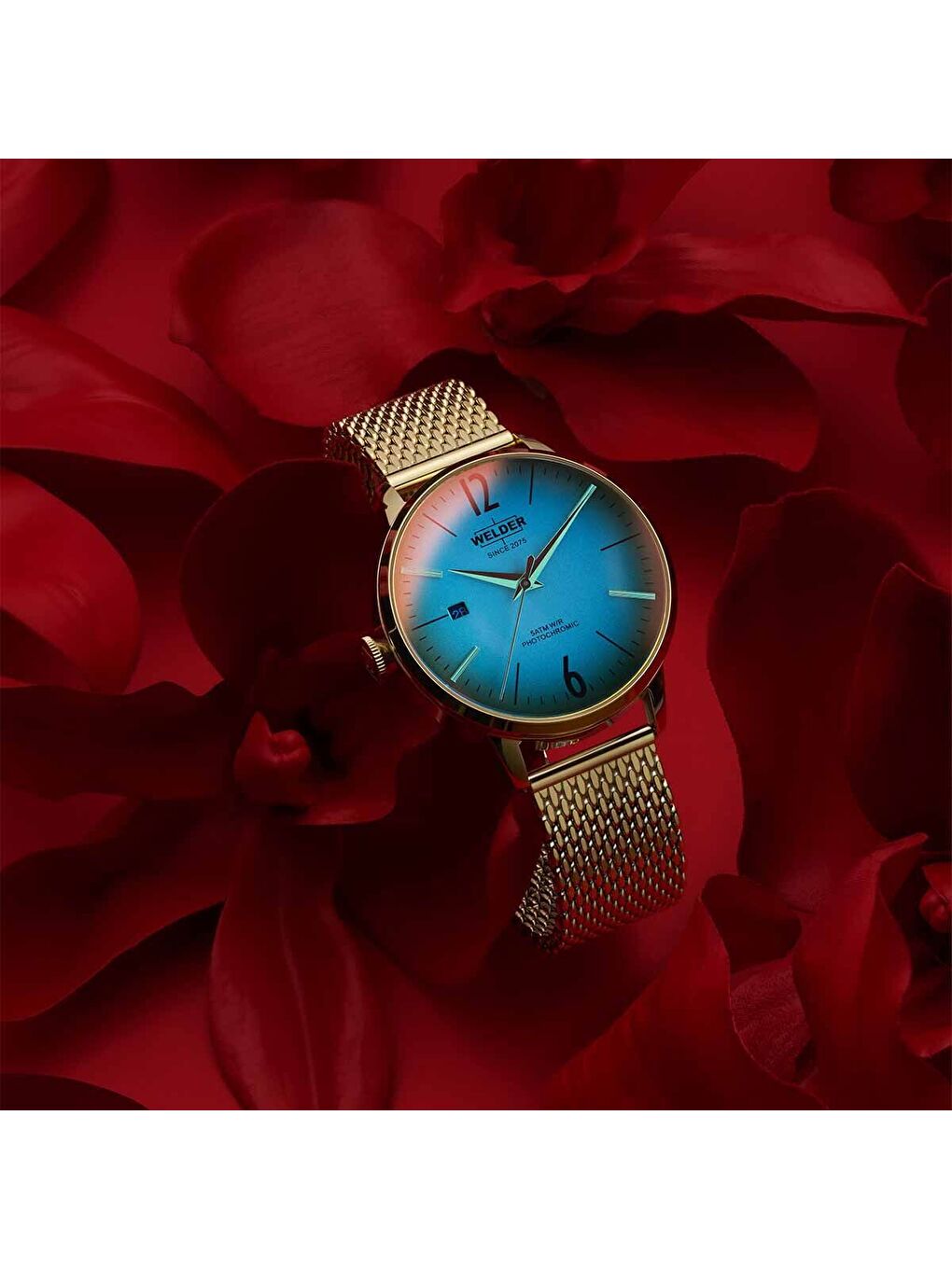 Sarı WRC624 38 mm Kadın Kol Saati-1