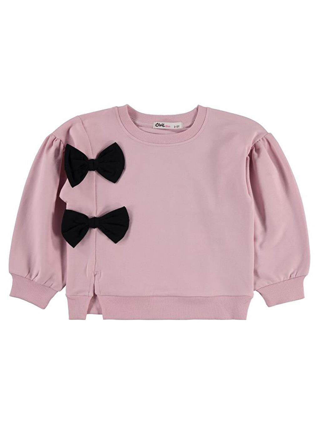 Pembe Girls Fiyonk Aksesuarlı 2-5 Yaş Takım-1