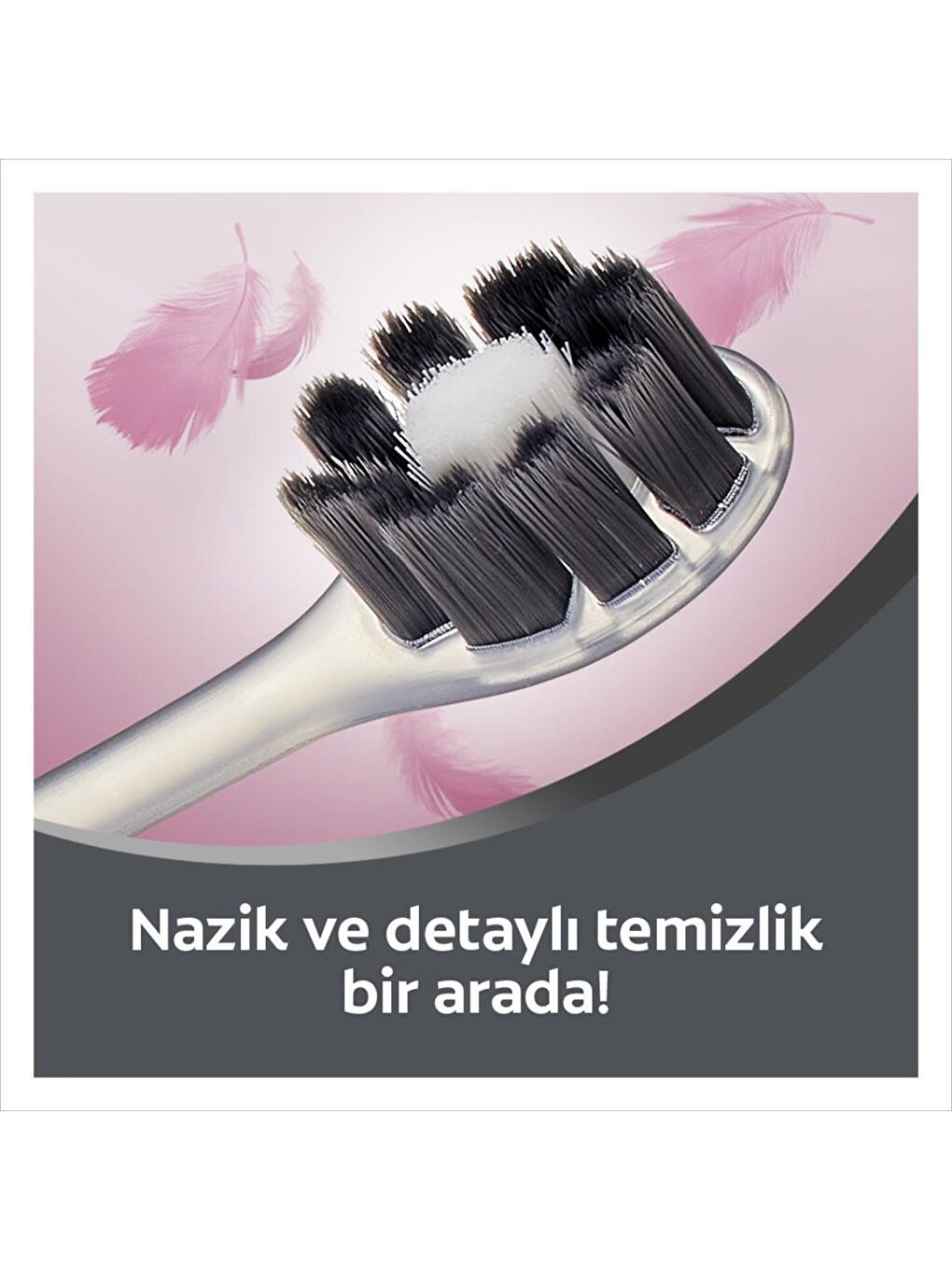 Colgate Siyah FoamSoft Siyah Yumuşak Diş Fırçası x2 Adet + Fırça Kabı Hediye - 1