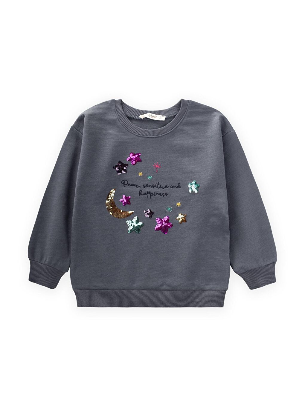 Gri Kız Çocuk Nakışlı Sweatshirt