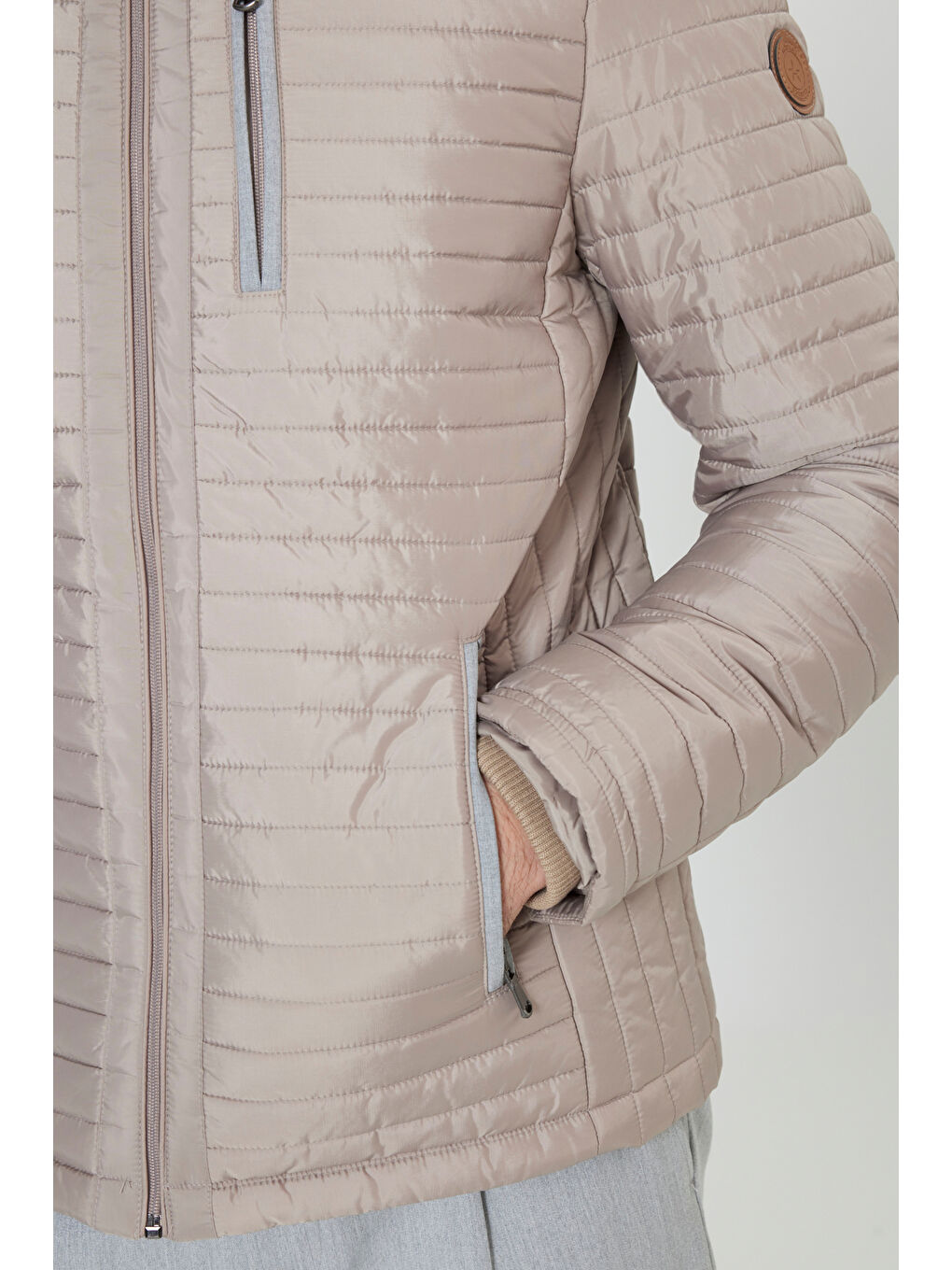 Erkek Bej Standart Fit Normal Kesim Dik Yaka Desenli Mont-4