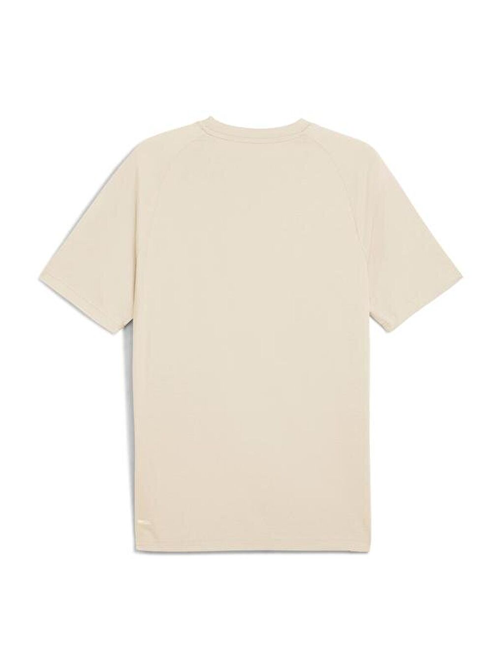 Evostripe Erkek Ekru Tişört-1