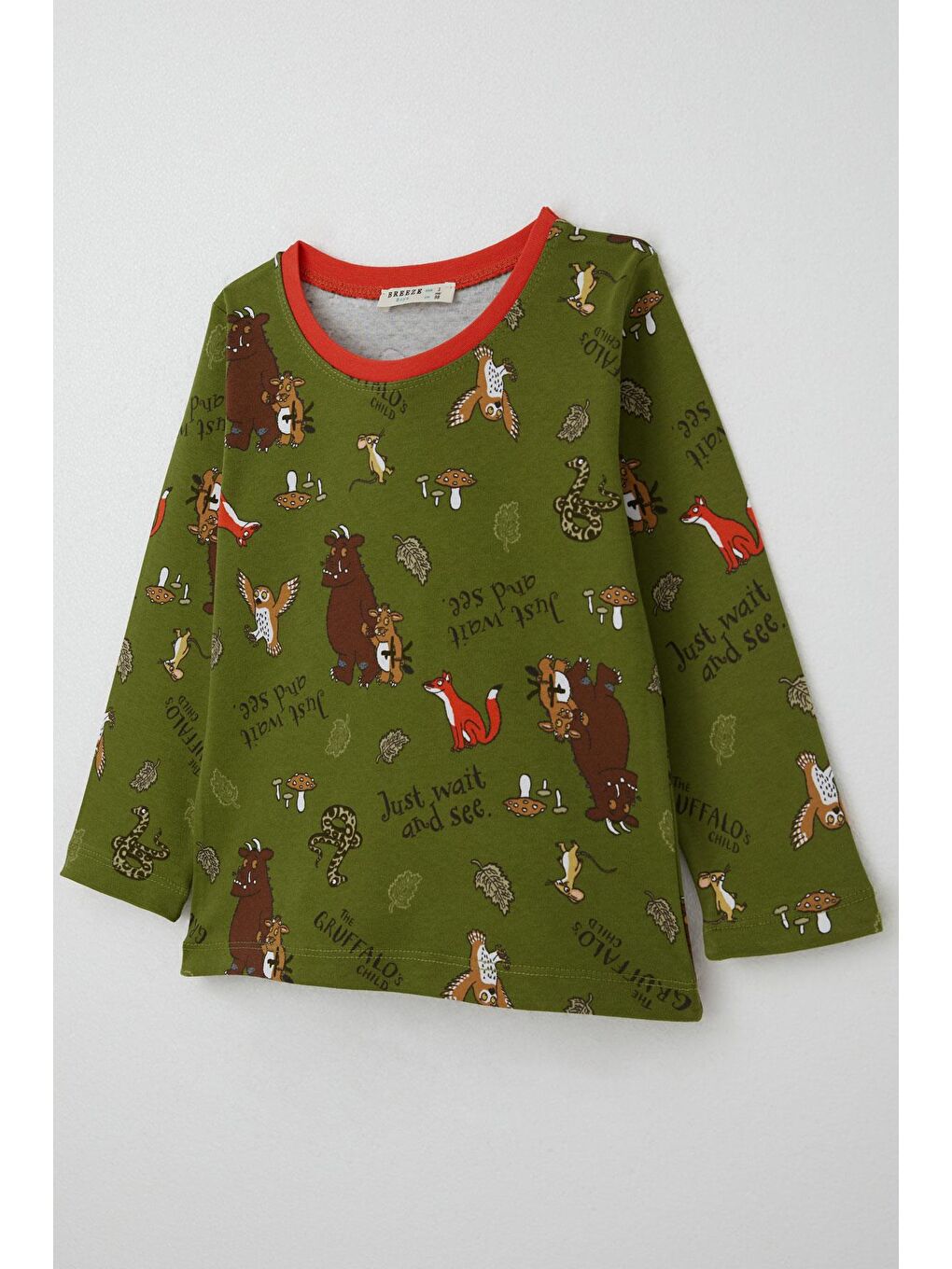 Erkek Bebek Pijama Takımı The Gruffalo Desenli Haki Yeşil (9 Ay-3 Yaş)-5