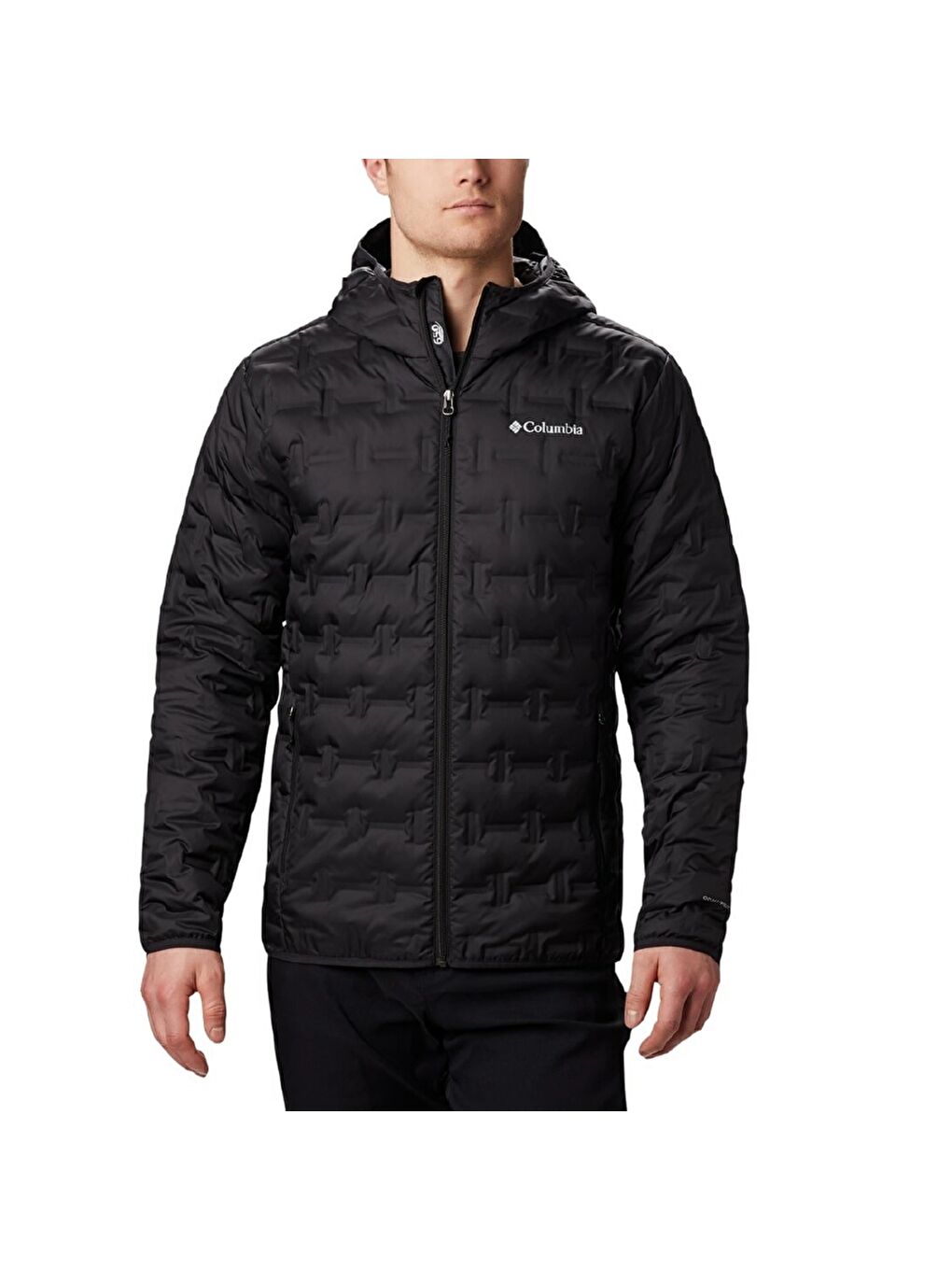 Columbia Siyah Delta Ridge Down Hooded Erkek Kaz Tüyü Mont WO6610