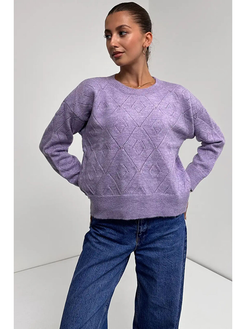 Bisiklet Yaka Baklava Desenli Triko Kazak Mor-1