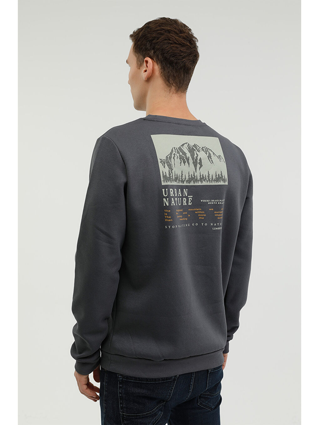 Gri M-CG555 NATURE BACK PRINT  Erkek Sweatshirt-1