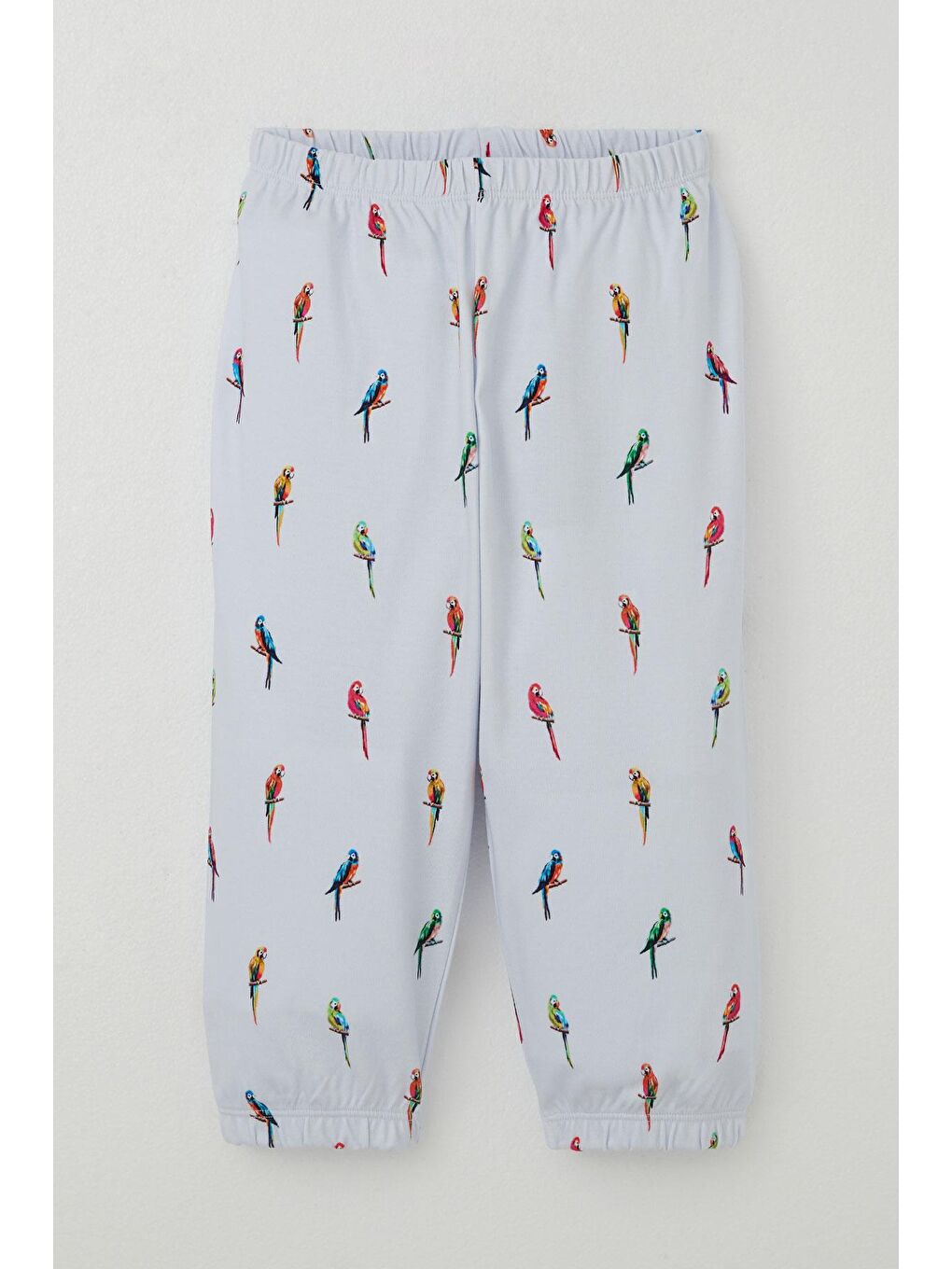 Erkek Çocuk Pijama Takımı Renkli Papağan Desenli Buz Mavisi (1-3 Yaş)-2