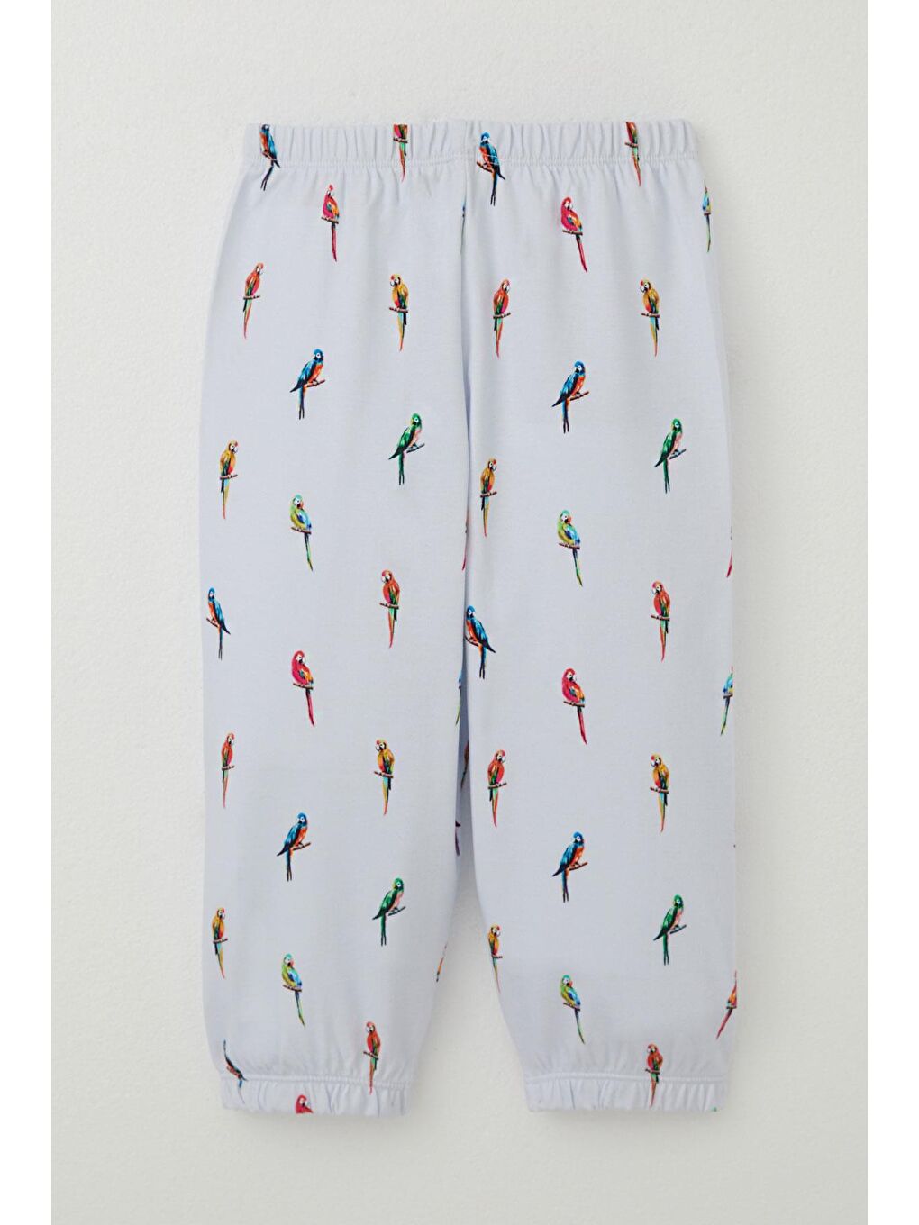 Erkek Çocuk Pijama Takımı Renkli Papağan Desenli Buz Mavisi (1-3 Yaş)-4