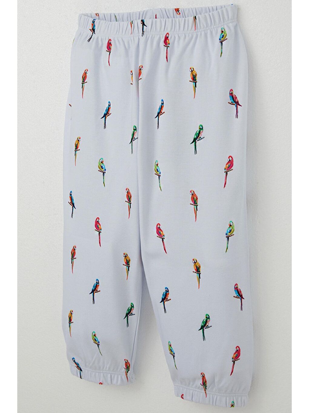 Erkek Çocuk Pijama Takımı Renkli Papağan Desenli Buz Mavisi (1-3 Yaş)-6