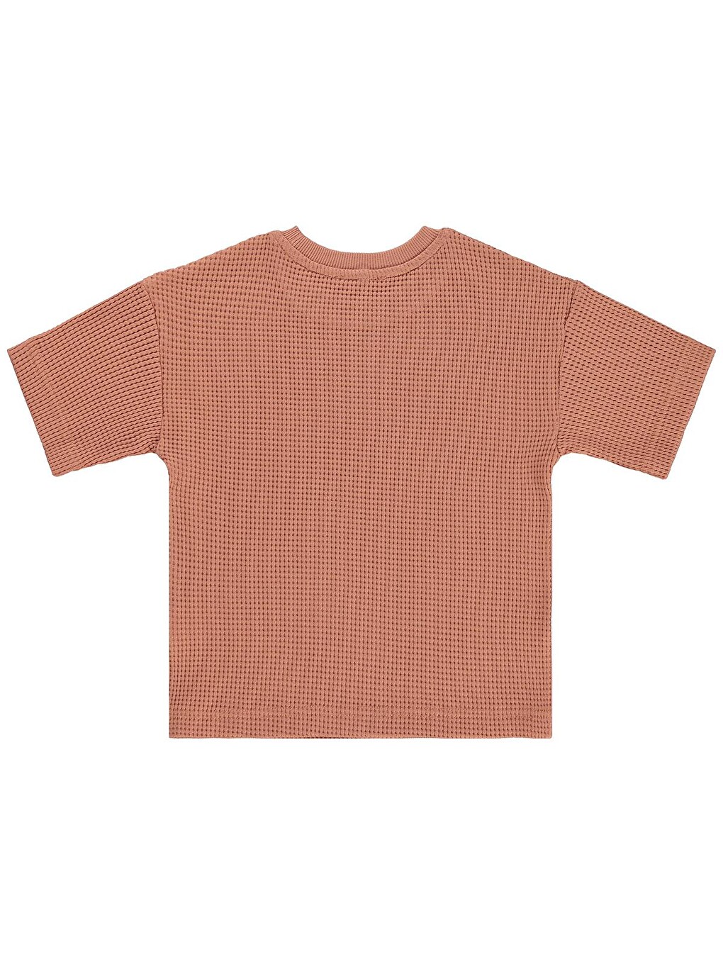 Pembe Boys Basic Waffle 2-5 Yaş Tişört - Pudra-1