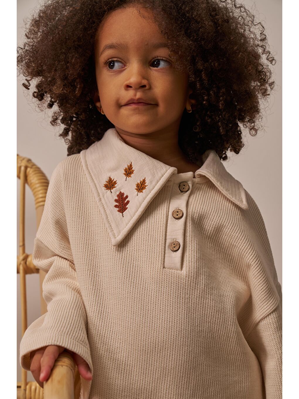 Bej Sonbahar Yaprak İşlemeli Çocuk Triko Takımı-11