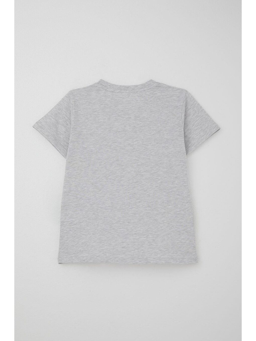 Erkek Çocuk Şortlu Takım Jetski Tutkunu Havalı Dinozor Baskılı Açık Gri Melanj (5-9 Yaş)-3