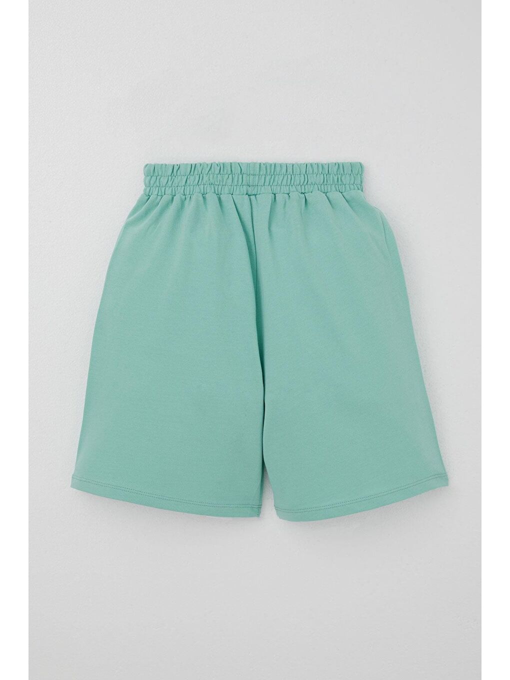 Erkek Çocuk Şortlu Takım Jetski Tutkunu Havalı Dinozor Baskılı Açık Gri Melanj (5-9 Yaş)-4