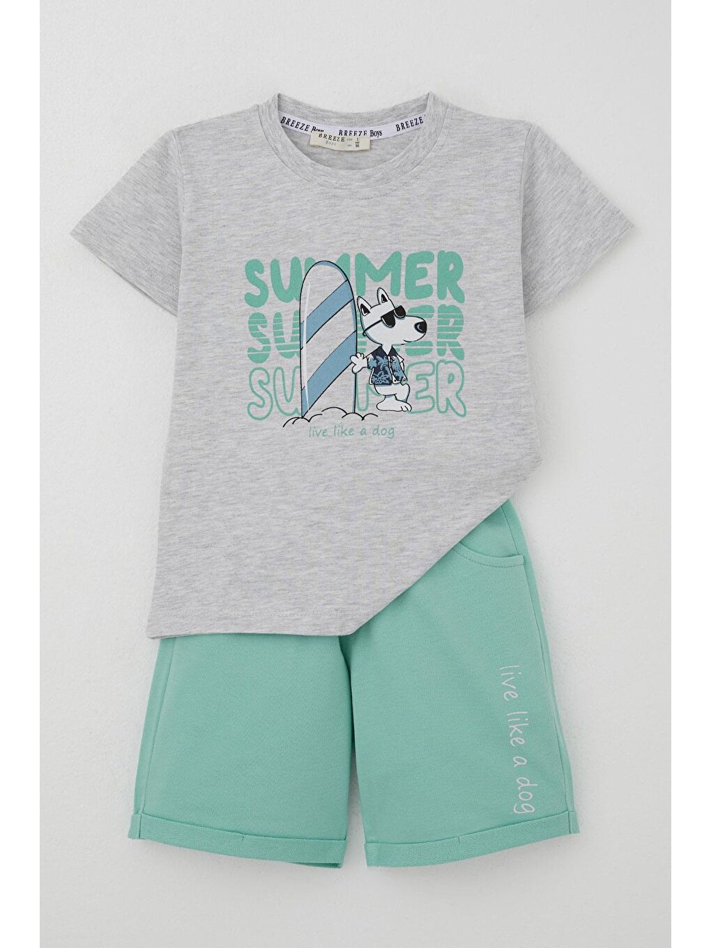 Erkek Çocuk Şortlu Takım Yaz Temalı Sörfçü Köpekçik Baskılı Açık Gri Melanj (2-6 Yaş)