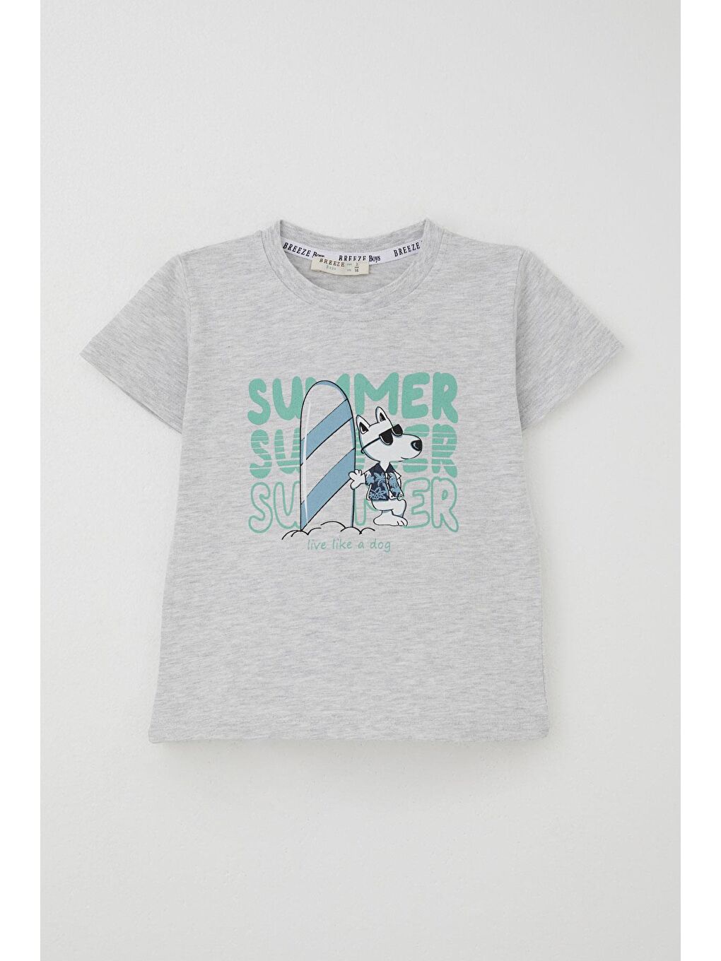 Erkek Çocuk Şortlu Takım Yaz Temalı Sörfçü Köpekçik Baskılı Açık Gri Melanj (2-6 Yaş)-1