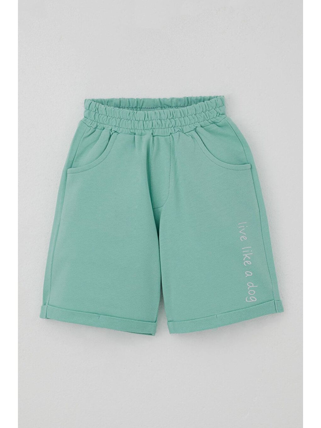 Erkek Çocuk Şortlu Takım Yaz Temalı Sörfçü Köpekçik Baskılı Açık Gri Melanj (2-6 Yaş)-2