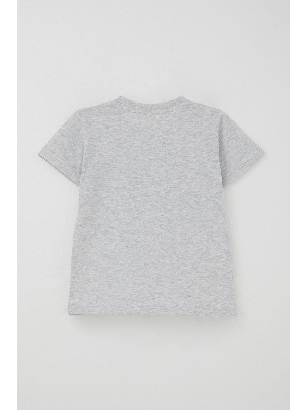 Erkek Çocuk Şortlu Takım Yaz Temalı Sörfçü Köpekçik Baskılı Açık Gri Melanj (2-6 Yaş)-3