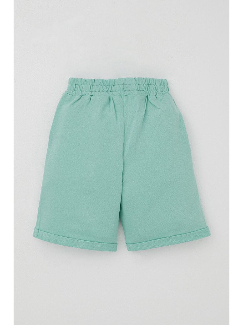 Erkek Çocuk Şortlu Takım Yaz Temalı Sörfçü Köpekçik Baskılı Açık Gri Melanj (2-6 Yaş)-4