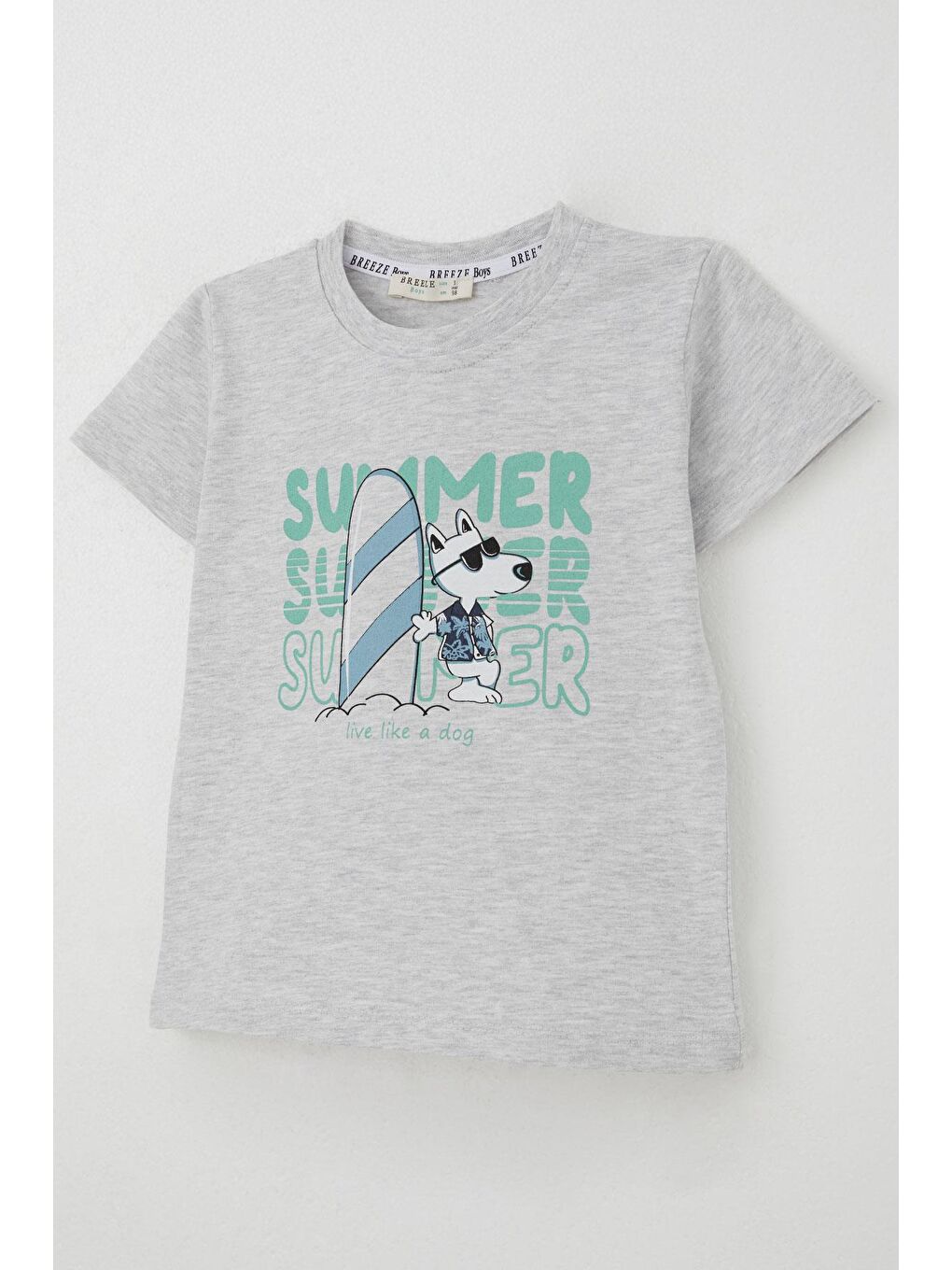 Erkek Çocuk Şortlu Takım Yaz Temalı Sörfçü Köpekçik Baskılı Açık Gri Melanj (2-6 Yaş)-5