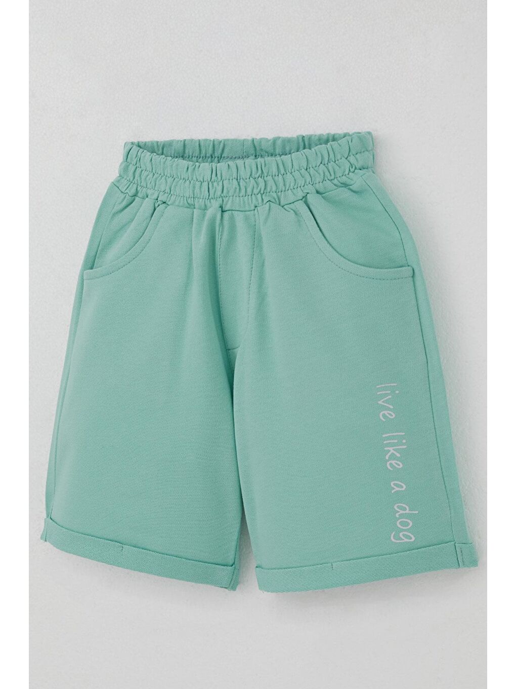 Erkek Çocuk Şortlu Takım Yaz Temalı Sörfçü Köpekçik Baskılı Açık Gri Melanj (2-6 Yaş)-6