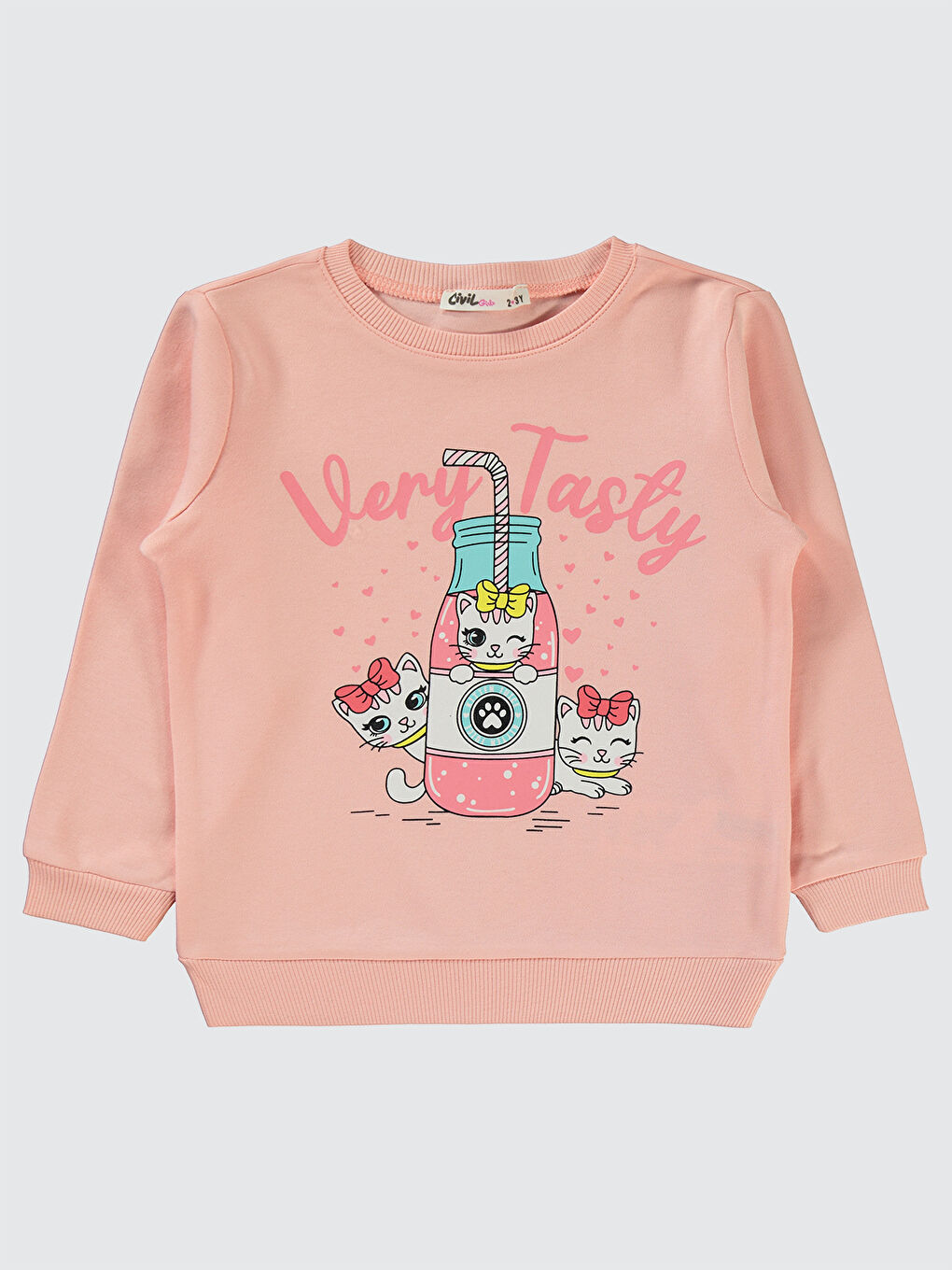 Pembe Girls Kız Çocuk Sweatshirt 2-5 Yaş Pudra