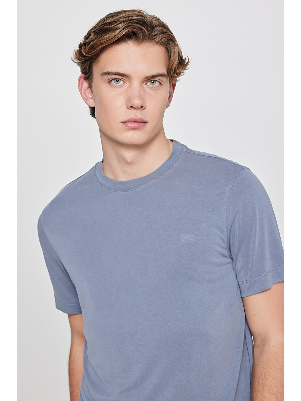 Gri Regular Fit Bisiklet Yaka Tişört-3