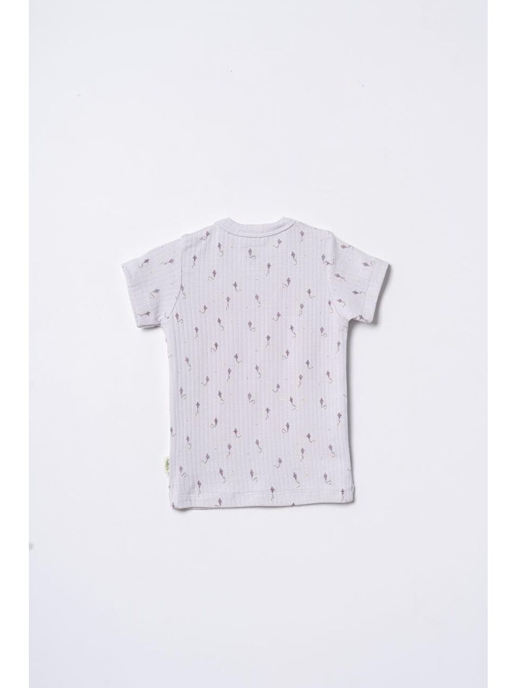 Gri Bebek Kısa Kollu Tişört ve Pantolon Takımı, %100 Pamuk, Bebek ve Yenidoğan Serisi - CSYM31114-9