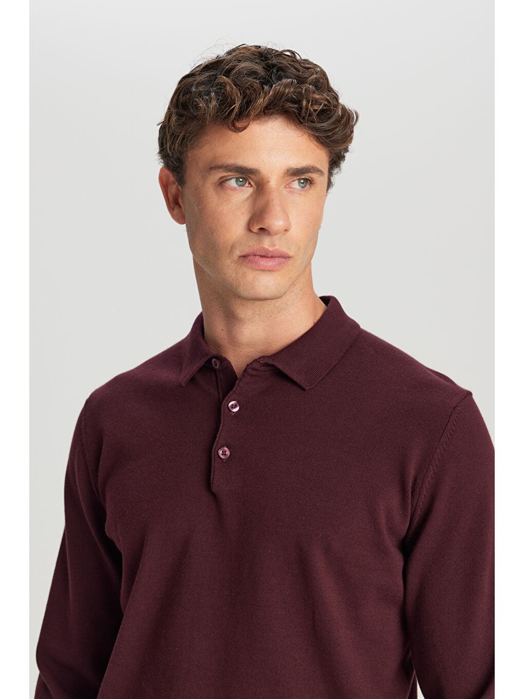 Erkek Bordo Pamuklu Standart Fit Normal Kesim Polo Yaka Triko Kazak-3