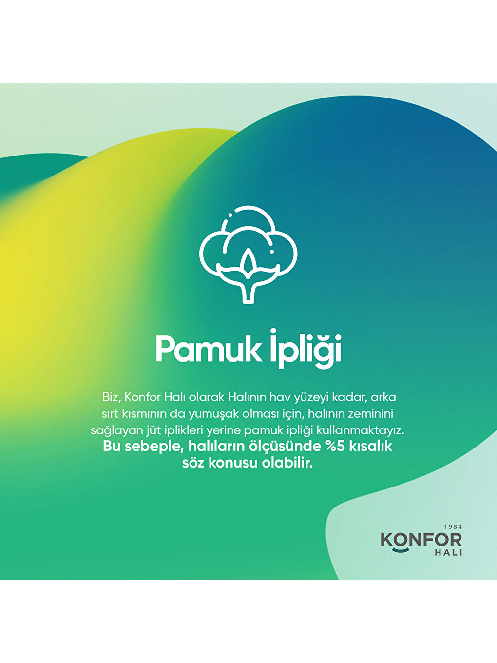 Bej Leo 2970 Modern Dokuma Halı-80x150-5