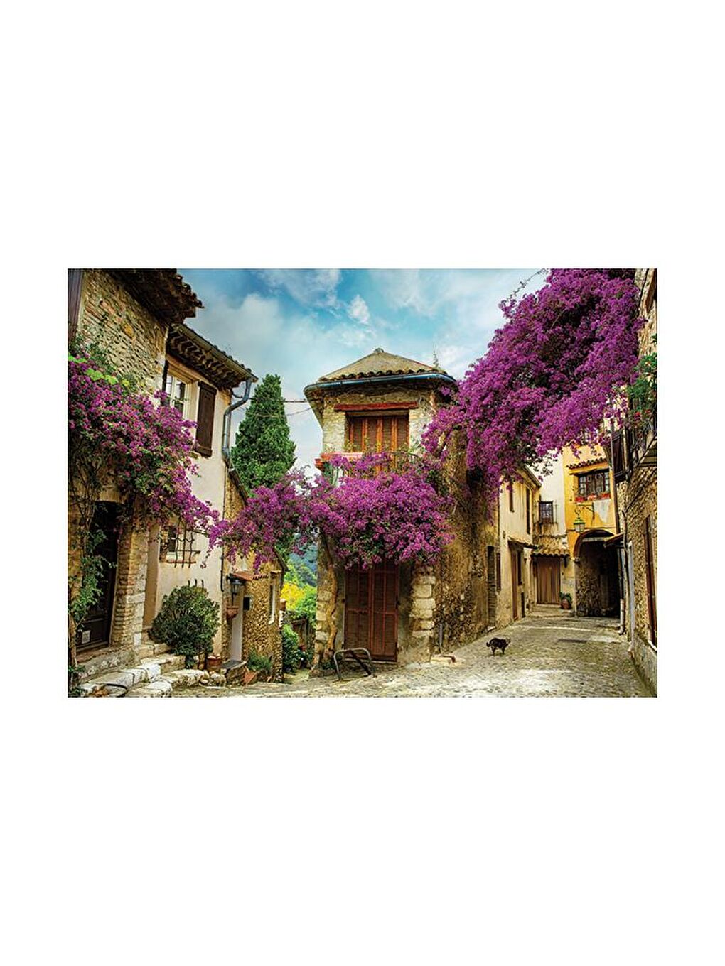 Blue Focus Karışık 1000 Parça Puzzle - Provence - 3